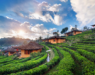 Wayanad